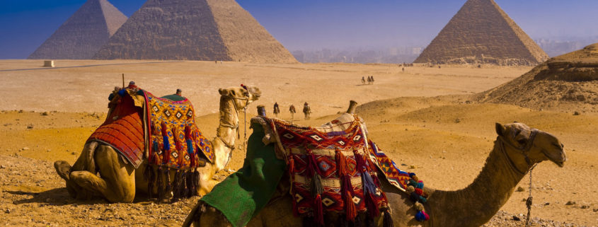 Горящая путевка Египет!